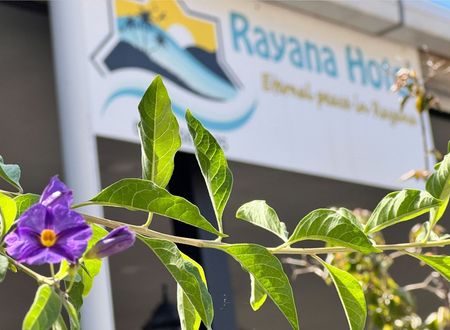 turkey/mugla/marmaris/rayanaotel571c68b4.jpg