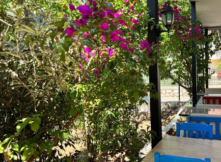turkey/mugla/marmaris/rayanaotel90c49a48.jpg