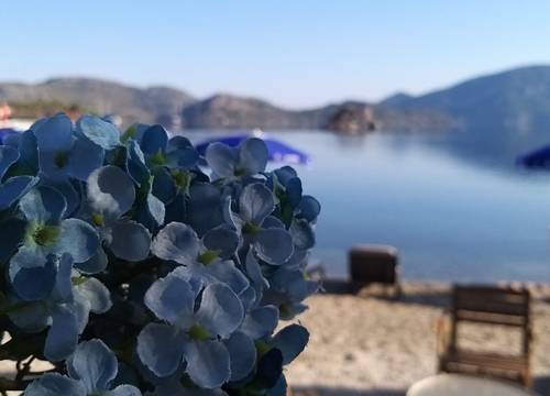 turkey/mugla/marmaris/selimhanhotel3064cd6f.jpg