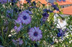 turkey/mugla/marmaris/selimiye11oda37ec7893.jpg
