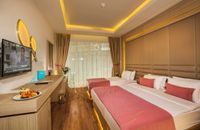 Standart Land View Room