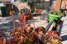 turkey/mugla/marmaris/villaesrae71def6f.jpg