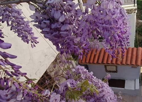 turkey/mugla/mutlukonaklama35071488.jpg