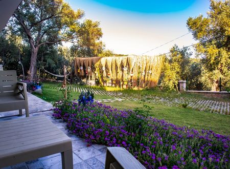 turkey/mugla/ortaca/dogampansiyon0e900f08.jpg