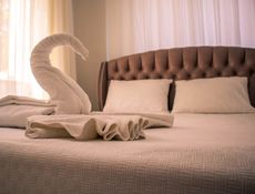 Appartement 1+1