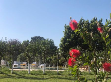 turkey/mugla/ortaca/hotelpalmedalyan3abb4c8c.jpg