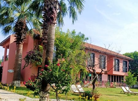 turkey/mugla/ortaca/hotelpalmedalyanf556b448.jpg