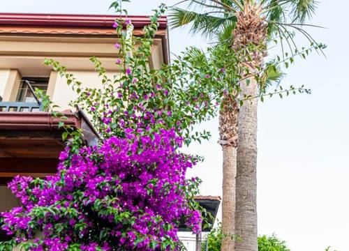 turkey/mugla/ortaca/portakalhoteldalyanf3acb4c7.jpg