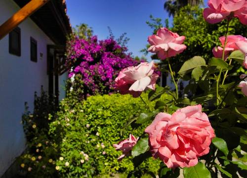 turkey/mugla/ortaca/yunushoteldalyanad02bfae.jpg