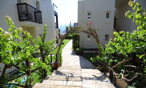 turkey/mugla/trendlifehotelstorba3be11f96.jpg