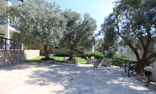 turkey/mugla/trendlifehotelstorba6087c342.jpg