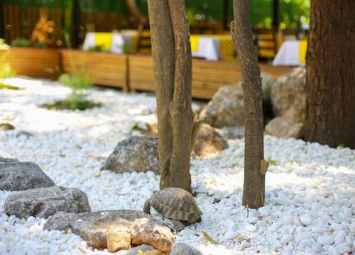 turkey/mugla/ula/yalicapkiniboutiquehotelakyakab067aabf.jpg