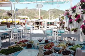 turkey/mugla/yarimadatatilevibb645a80.jpg