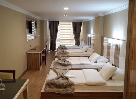 turkey/mus/hoteldiyarparis0e031c1d.jpg