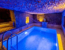 Deluxe Private Pool Rooms 