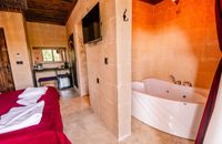 Deluxe Room with Bath