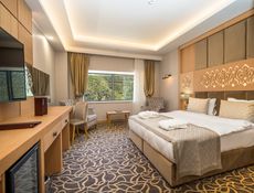 Dlx_Room_Kuvet
