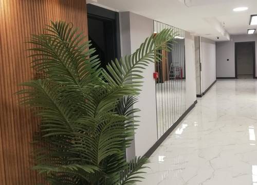 turkey/ordu/floraorduhotelapartsuit8ffae929.jpg