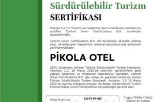 turkey/ordu/pikolabutikotel98099c38.jpg
