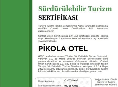 turkey/ordu/pikolabutikotel98099c38.jpg