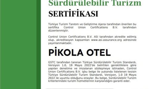 turkey/ordu/pikolabutikotel98099c38.jpg