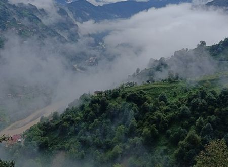 turkey/rize/ardesen/ayderrosesatobungalowa0cec18f.jpg