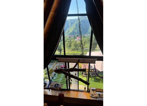 turkey/rize/ardesen/essesuitbungalov1b6d7323.jpg