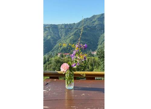 turkey/rize/ardesen/essesuitbungalov8eb38815.jpg