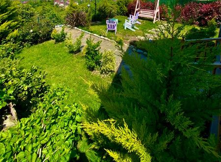 turkey/rize/ardesen/seyregahdagevi469bbea0.jpg
