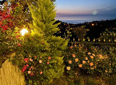 turkey/rize/ardesen/seyregahdagevi4e1285d7.jpg