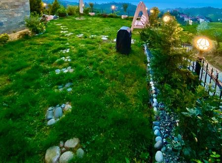 turkey/rize/ardesen/seyregahdagevi8f6ee98a.jpg