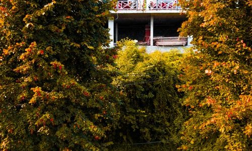 turkey/rize/ardesen/vadiverasuitbungalov1f2d2add.jpg