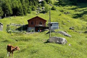 turkey/rize/ayrikvadidagevi8f7978bb.jpg