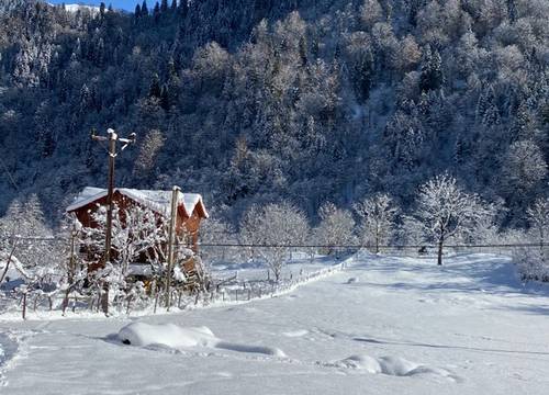 turkey/rize/camdibikonaklamad34a3336.jpg