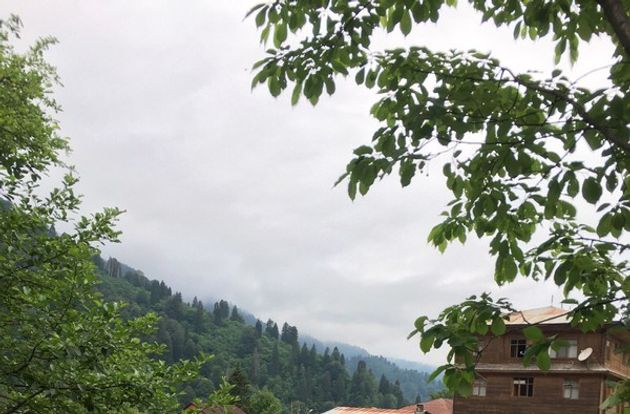 turkey/rize/camlihemsin/aydereapartotela2172257.jpg