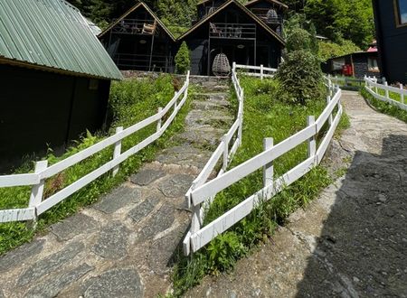 turkey/rize/camlihemsin/ayderelizanhotel564f4e16.jpg