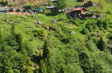 turkey/rize/camlihemsin/ayderyaylabungalovdcd2fbe0.jpg