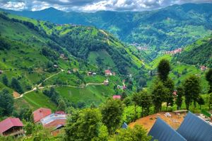turkey/rize/camlihemsin/dogallifesuitbungalow9e760cc6.jpg
