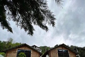 turkey/rize/camlihemsin/esintibungalowsotel7c56cfe1.jpg