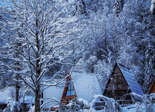 turkey/rize/camlihemsin/kotitayderbungalovrestaurant39cc5fe9.jpg