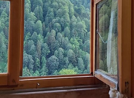 turkey/rize/camlihemsin/liligumdagevi0d4e51db.jpg