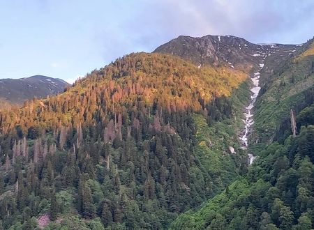 turkey/rize/camlihemsin/liligumdagevi59f35606.jpg