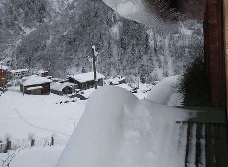 turkey/rize/camlihemsin/liligumdagevi7633047c.jpg