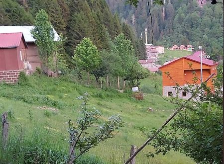 turkey/rize/camlihemsin/liligumdagevi8cf2a892.jpg