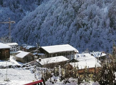 turkey/rize/camlihemsin/liligumdagevi937d7f60.jpg
