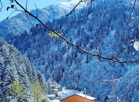 turkey/rize/camlihemsin/liligumdagevia6f3596a.jpg