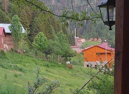 turkey/rize/camlihemsin/liligumdagevic29c159b.jpg