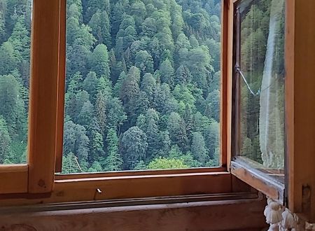 turkey/rize/camlihemsin/liligumdagevice83f95a.jpg
