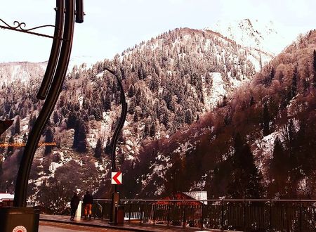 turkey/rize/camlihemsin/liligumdagevif0ac7de5.jpg