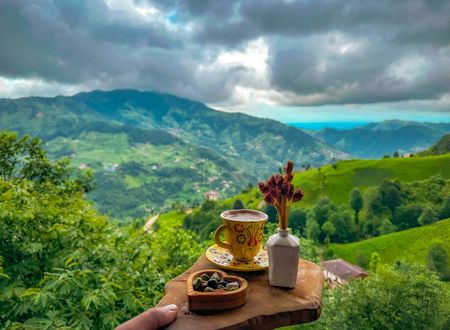 turkey/rize/camlihemsin/organikkoybungalov257b088c.jpg